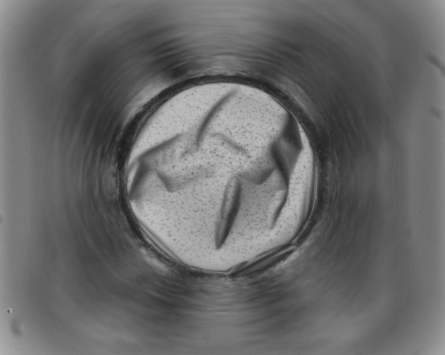 X0000097491018200803141952