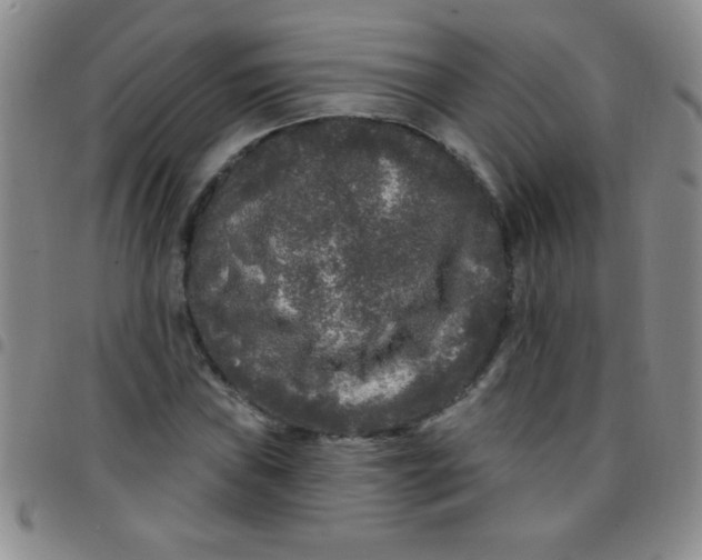 X0000097491019200803141952