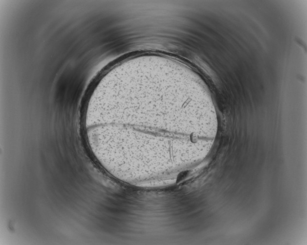 X0000097491020200803141952