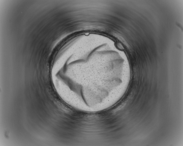 X0000097491021200803141952