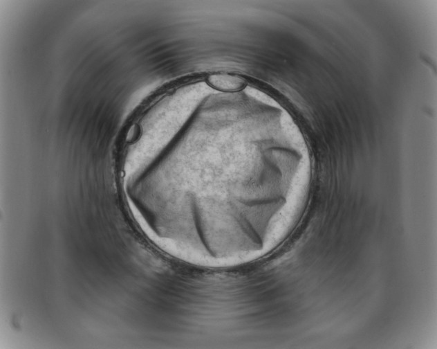 X0000097491022200803141952