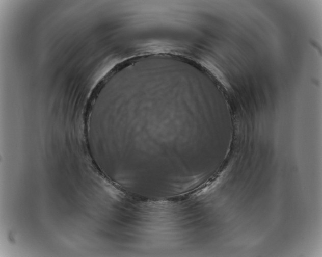 X0000097491023200803141952