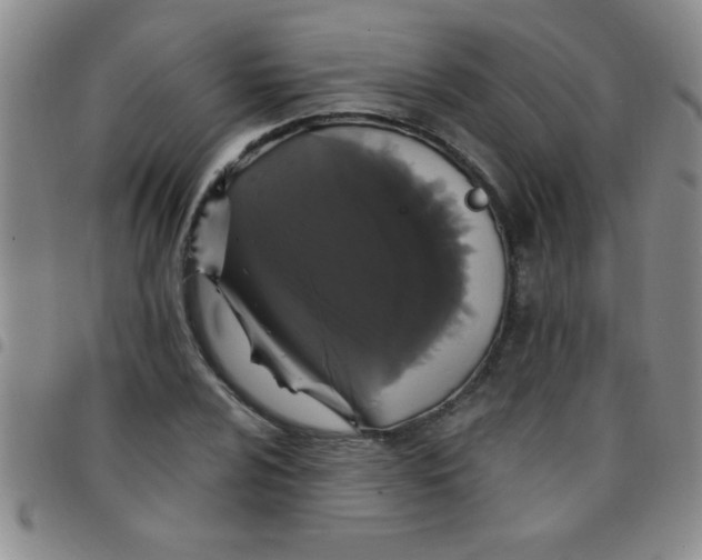 X0000097491024200803141952