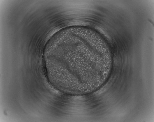 X0000097491025200803141952