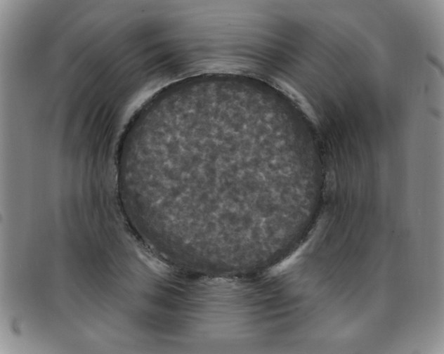 X0000097491027200803141952