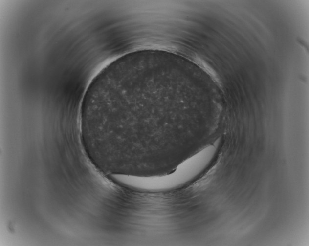 X0000097491028200803141952