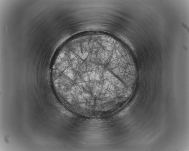 X0000097491029200803141952