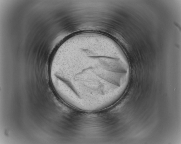 X0000097491030200803141952