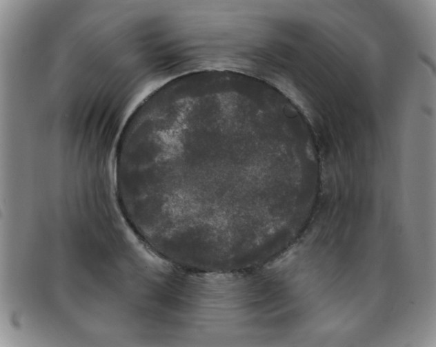 X0000097491032200803141952