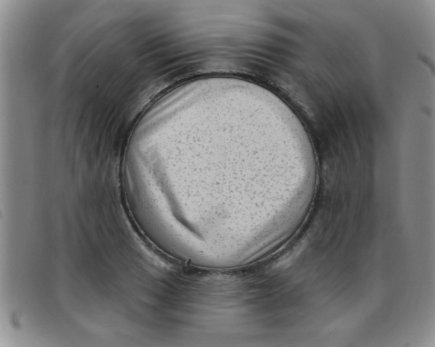 X0000097491033200803141952