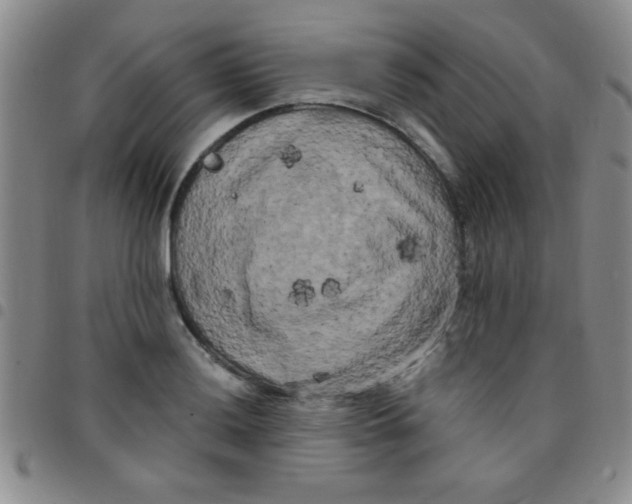 X0000097491036200803141952