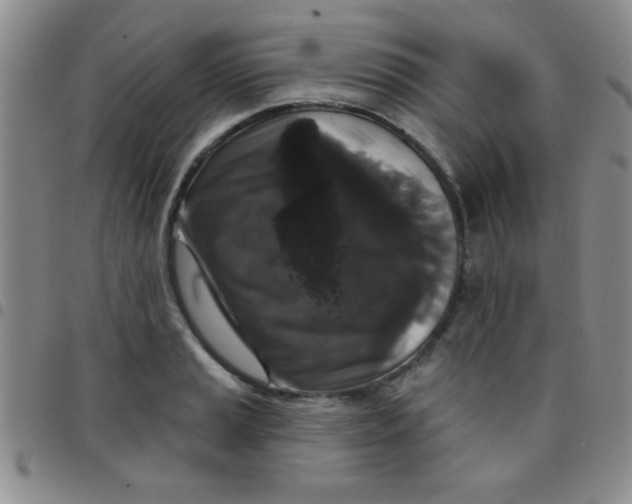 X0000097491037200803141952