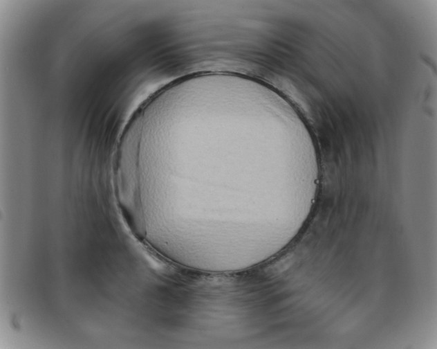 X0000097491040200803141952