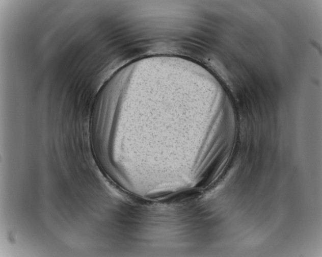 X0000097491041200803141952