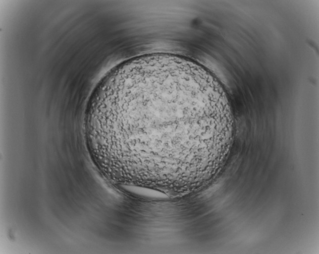 X0000097491043200803141952