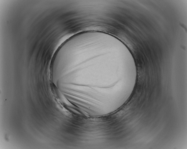 X0000097491044200803141952