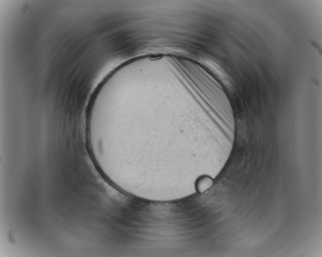 X0000097491046200803141952