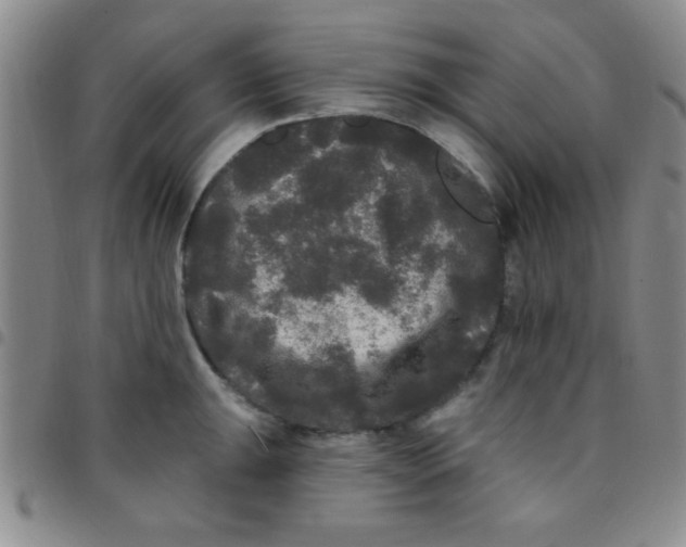 X0000097491047200803141952