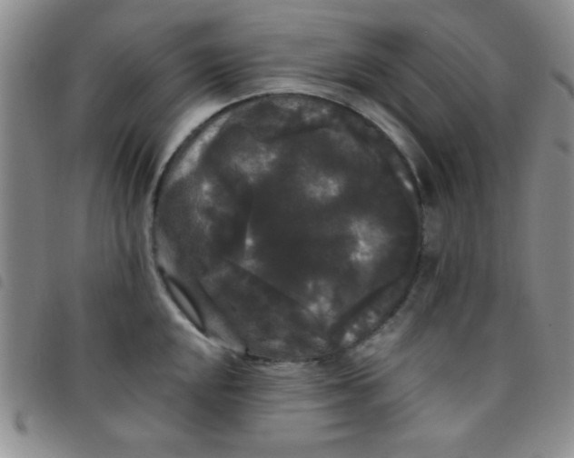 X0000097491048200803141952