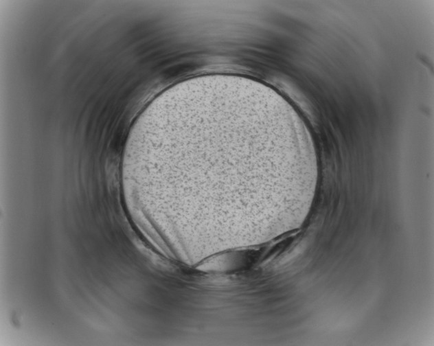 X0000097491049200803141952