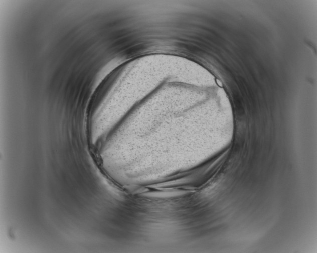 X0000097491050200803141952