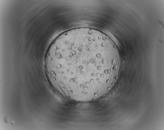 X0000097491051200803141952