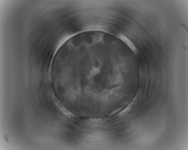 X0000097491052200803141952