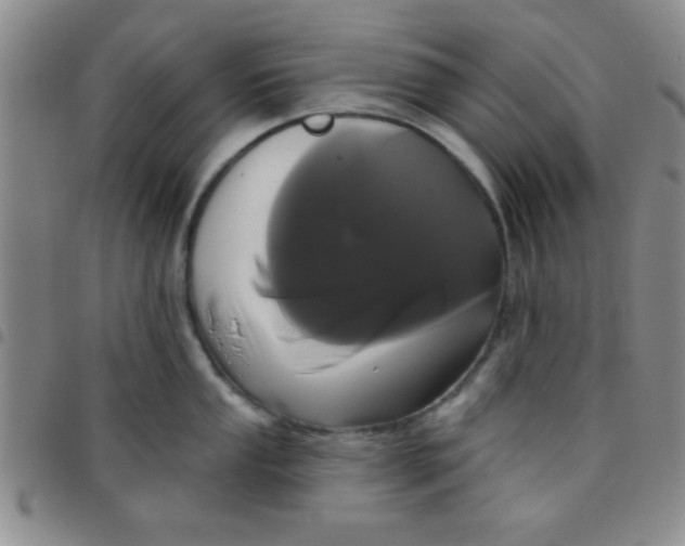 X0000097491053200803141952