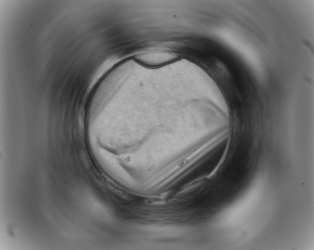 X0000097491054200803141952