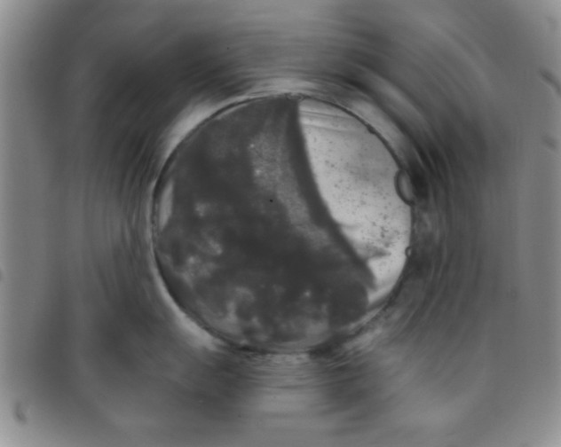 X0000097491055200803141952