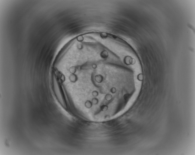 X0000097491056200803141952