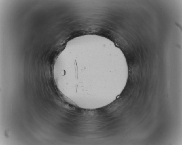 X0000097491058200803141952