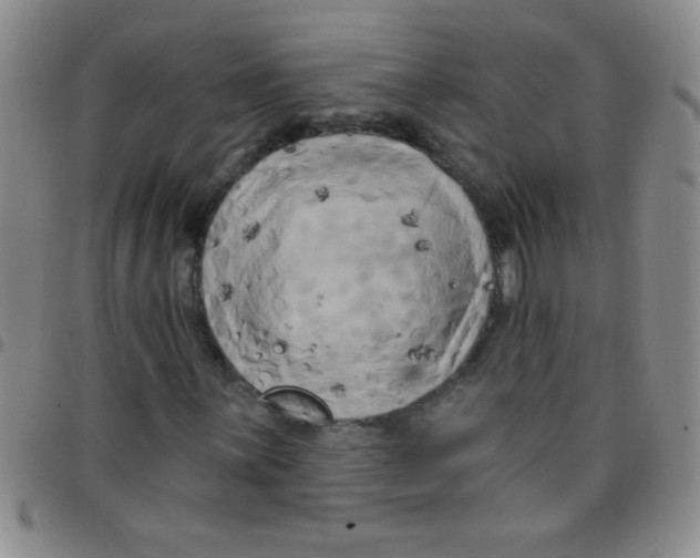 X0000097491059200803141952