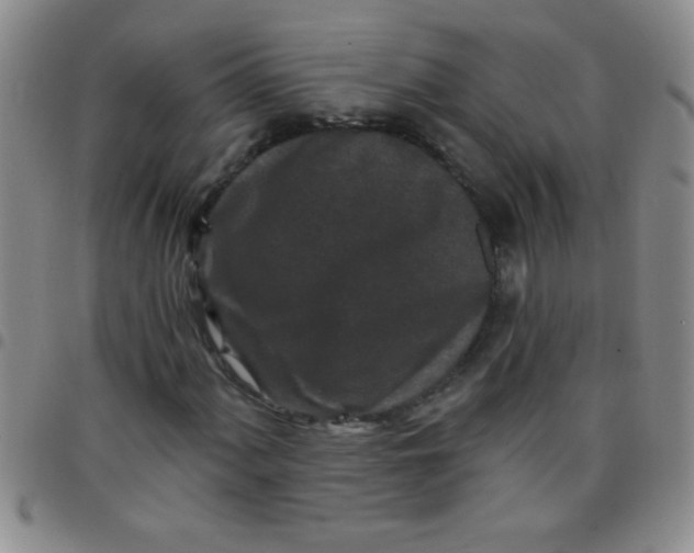 X0000097491060200803141952