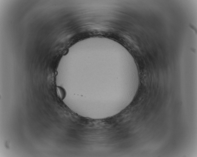 X0000097491061200803141952