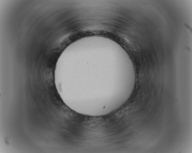 X0000097491062200803141952