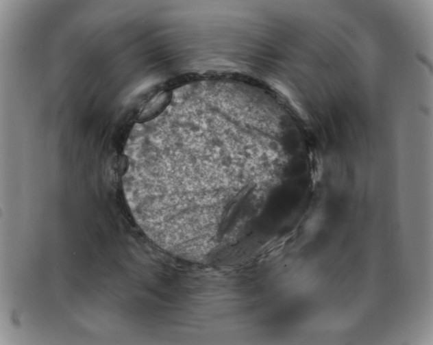 X0000097491063200803141952