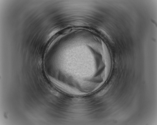 X0000097491065200803141952