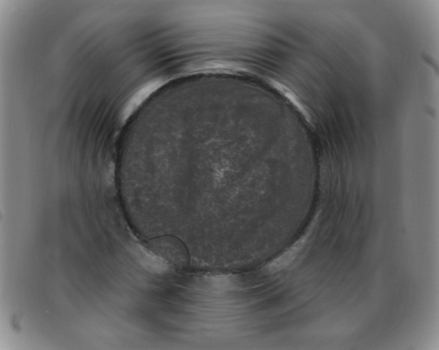 X0000097491066200803141952