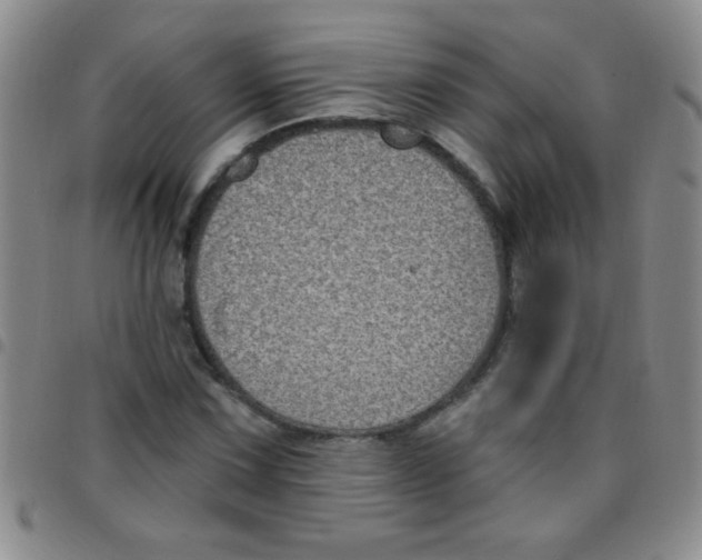 X0000097491067200803141952