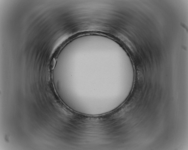 X0000097491069200803141952