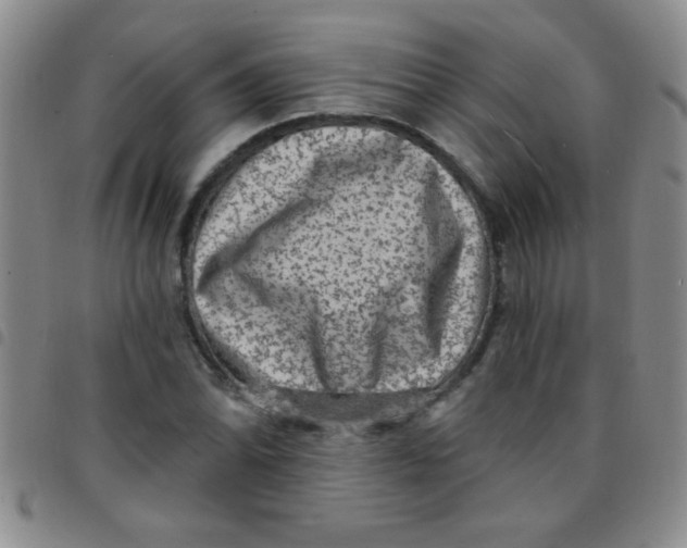 X0000097491070200803141952