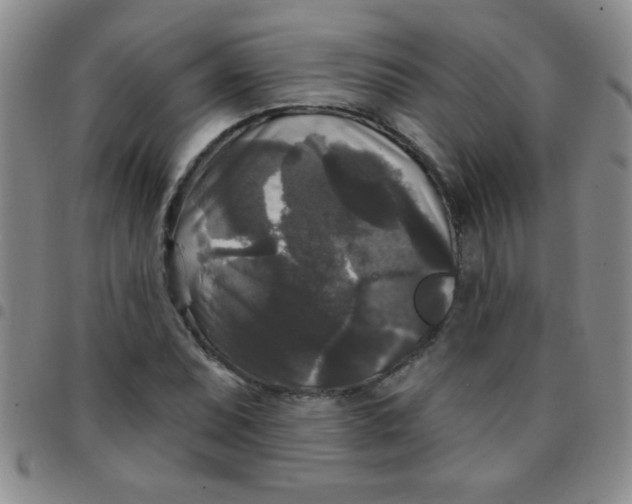 X0000097491071200803141952