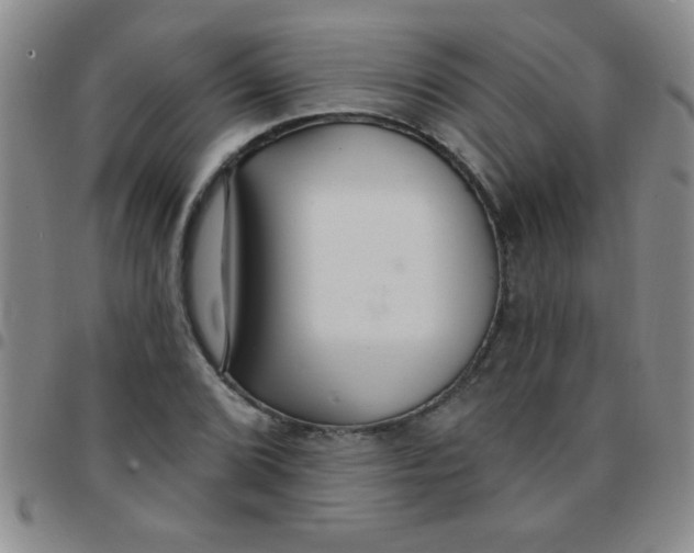 X0000097491072200803141952