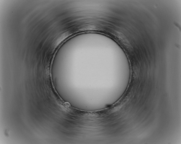 X0000097491073200803141952