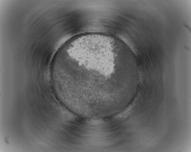 X0000097491074200803141952