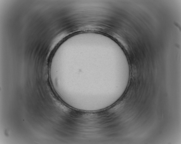 X0000097491075200803141952