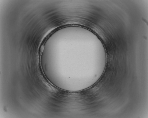 X0000097491076200803141952