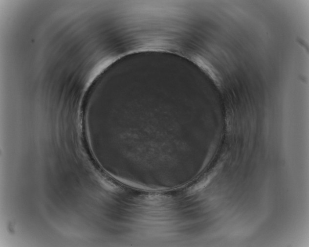 X0000097491077200803141952