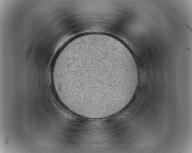 X0000097491078200803141952